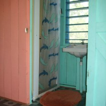 Bathroom (there is a new tile shower since this photo)