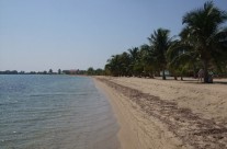 Placencia Beach (looking North)