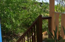 Looking off Deck