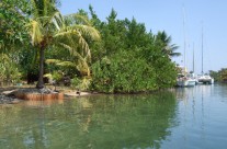Looking up Canal towards Neighbors