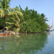 Looking up Canal towards Neighbors